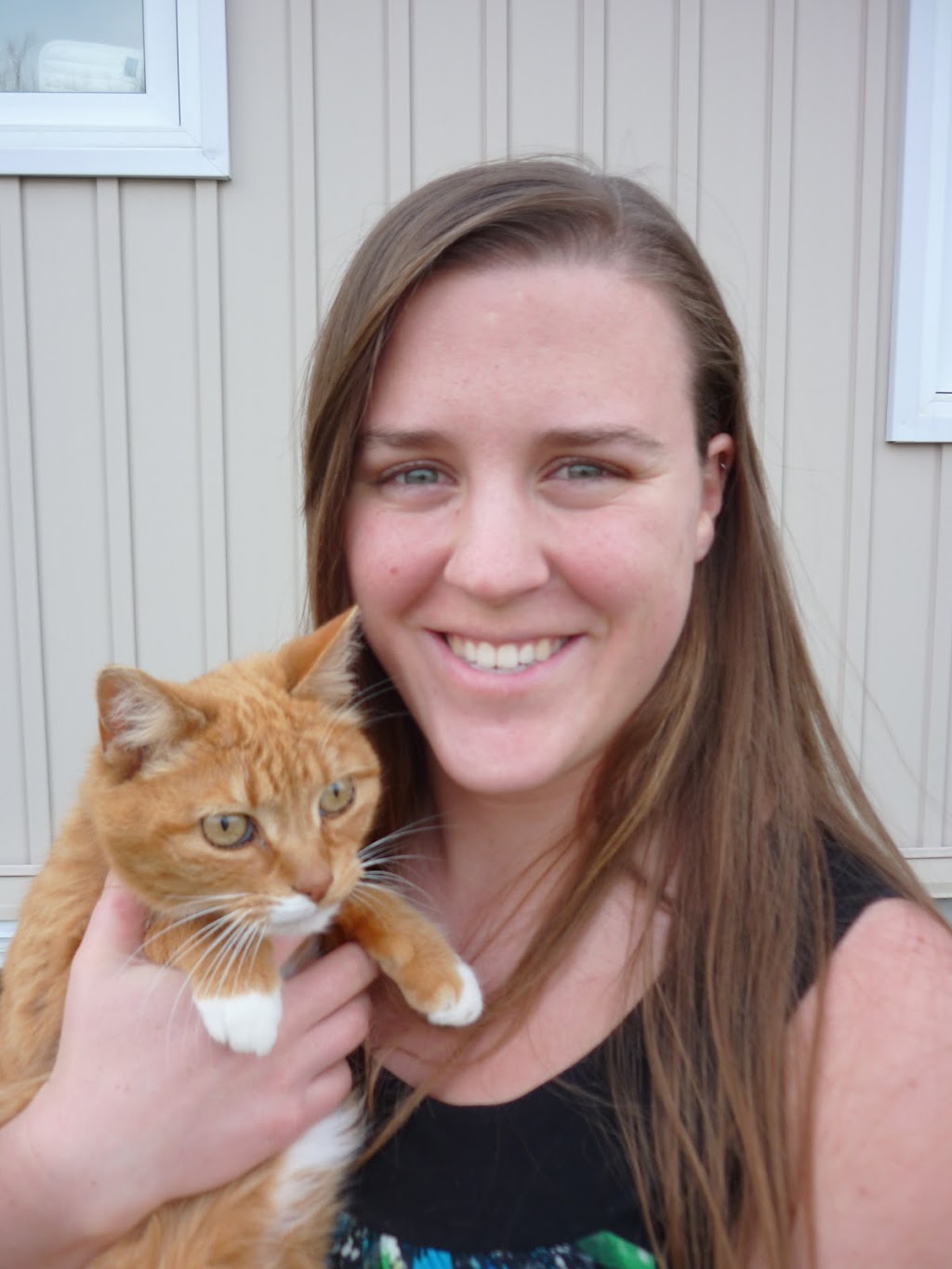 Animal Care Clinic | 1242 Queen St W, Brampton, ON L6X 0B2, Canada | Phone: (905) 451-2800