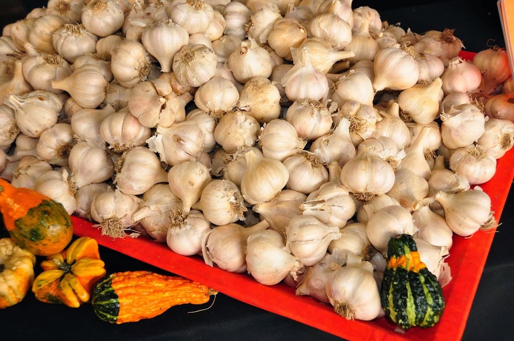 Toronto Garlic Festival Sunday Sept 25, 2022 | 601 Christie St, Toronto, ON M6G 2X7, Canada | Phone: (416) 888-7829