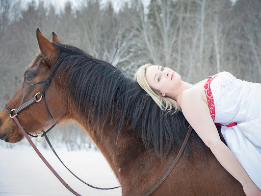 Michael Peitz Custom Photography | 1170 Narrows Rd, Gravenhurst, ON P1P 1R2, Canada | Phone: (226) 568-0474