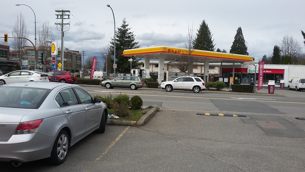 Dream Pizza & Indian Cuisine | 1990 McCallum Rd, Abbotsford, BC V2S 3M6, Canada | Phone: (604) 746-2900