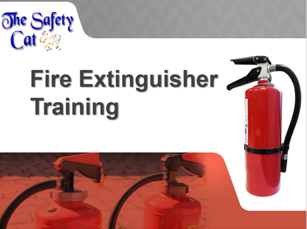 The Safety Cat | 12 Furniss St, Beaverton, ON L0K 1A0, Canada | Phone: (647) 298-2875