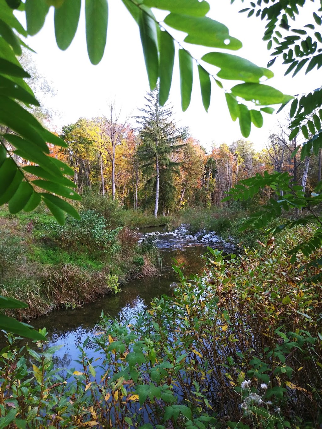 South Richvale Greenway Walk | Richmond Hill, ON L4C 9V6, Canada | Phone: (905) 771-8800