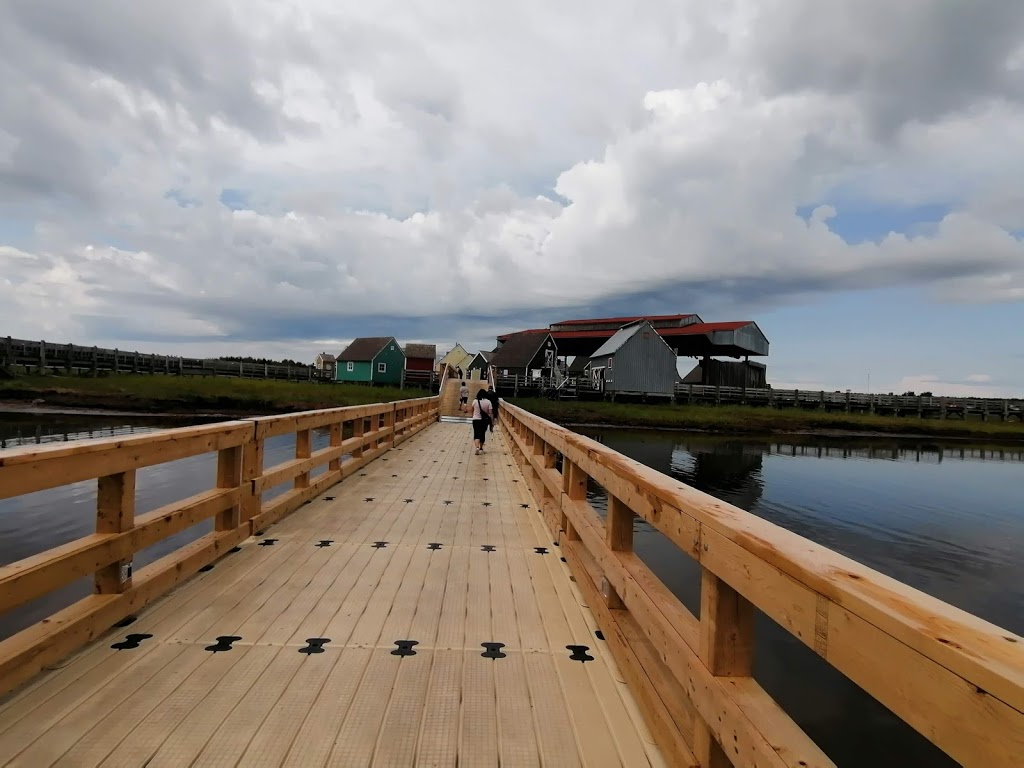 Camping Oceanic | 221 Ohio Rd, Shediac, NB E4P 2J8, Canada | Phone: (506) 533-7006