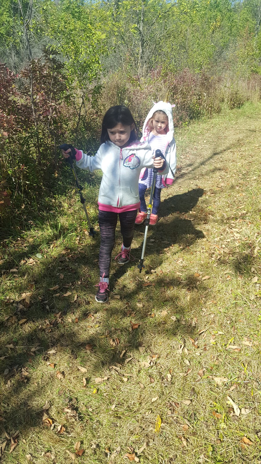 Royal Botanical Gardens Berry Tract | Bruce Trail, Dundas, ON L9H 5S7, Canada | Phone: (905) 527-1158