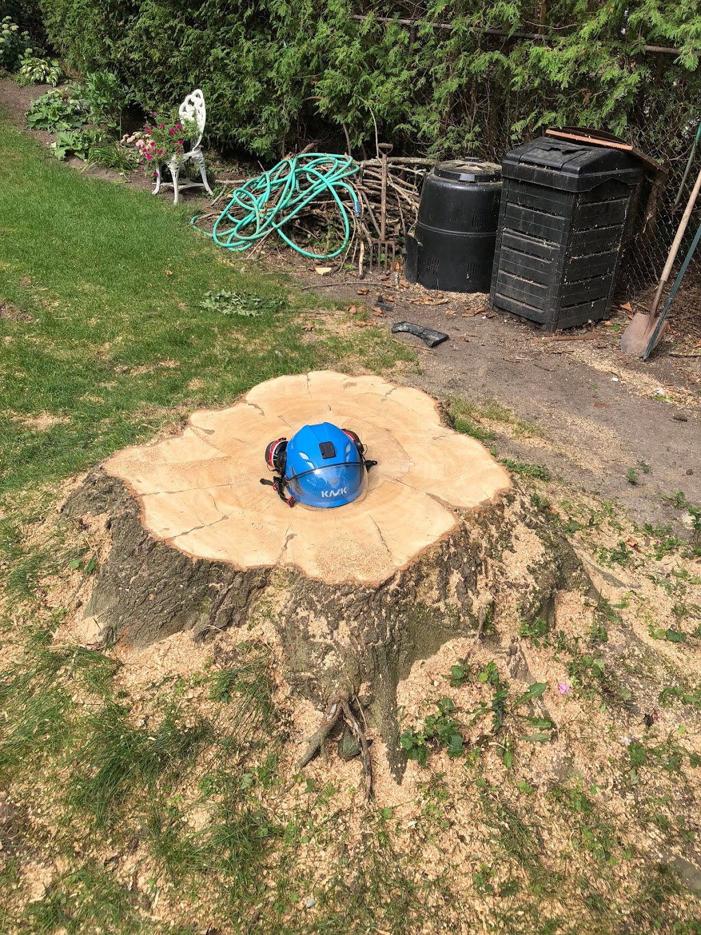 Mercier’s Tree Service | 270 Lorindale Dr, Oshawa, ON L1H 6X4, Canada | Phone: (289) 355-3177