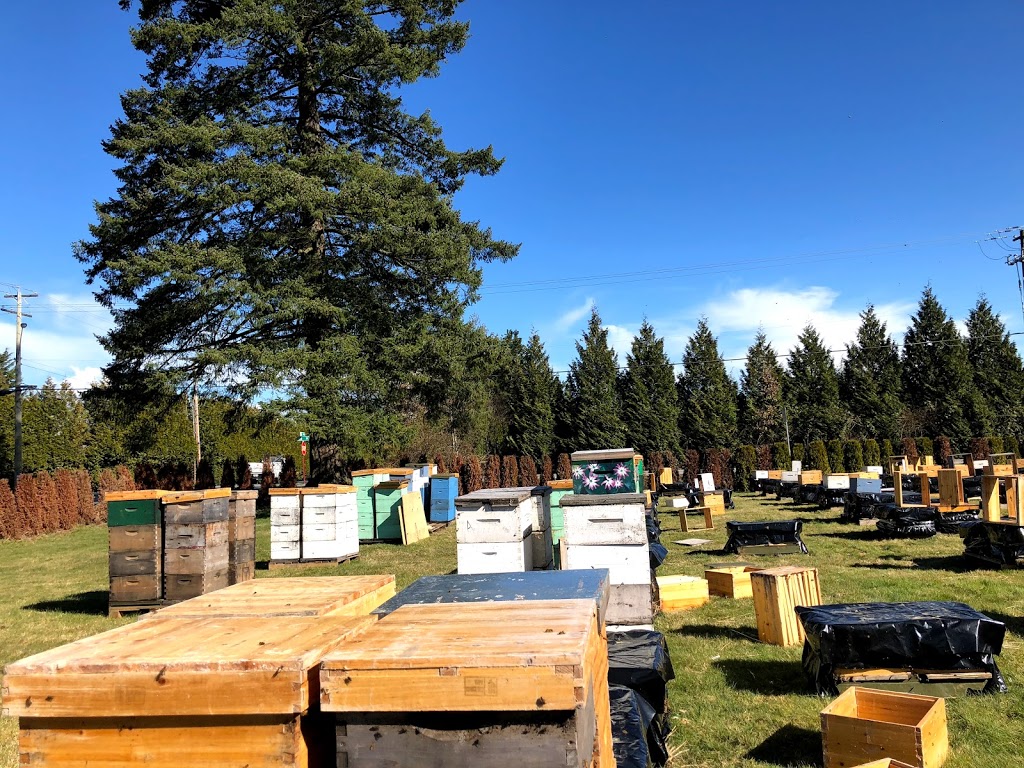 MMY Honeybee Inc | 5553 256 St, Aldergrove, BC V4W 1E7, Canada | Phone: (778) 829-9349