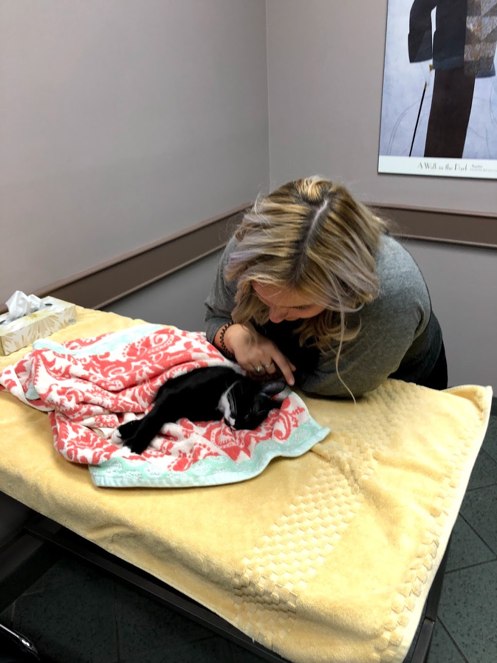 Burlington Veterinary Emergency & Referral Hospital | 775 Woodview Rd, Burlington, ON L7N 3S1, Canada | Phone: (905) 637-8111