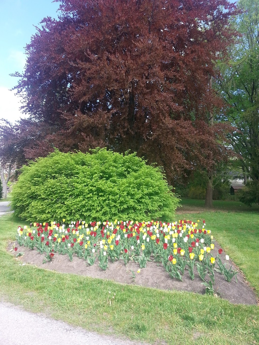 Bishopstoke Park | 1322 Bishopstoke Way, Oakville, ON L6J 6Z9, Canada