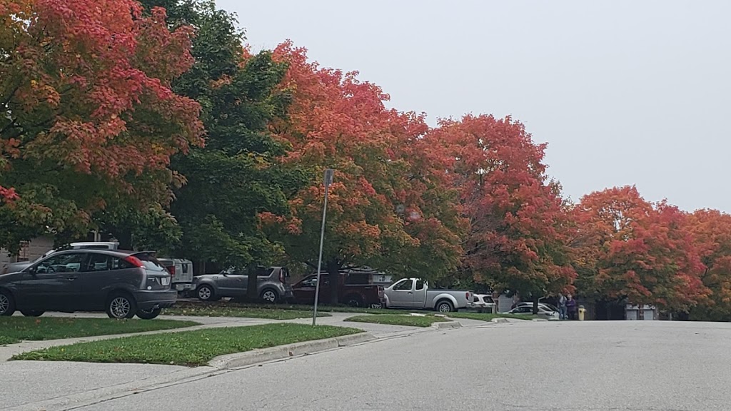 Marksam Park | 146 Marksam Rd, Guelph, ON N1H 6T6, Canada | Phone: (519) 837-5628