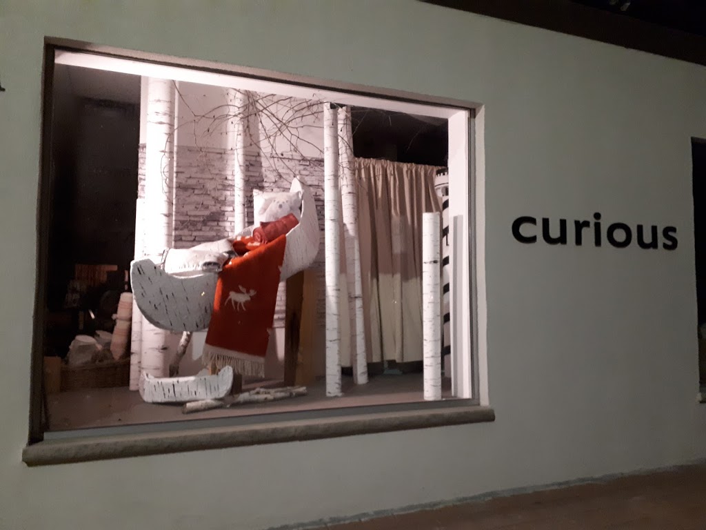 curious? | 10-B Water St, Fenelon Falls, ON K0M 1N0, Canada | Phone: (705) 887-7712