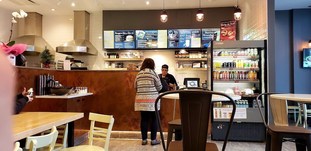 Copper Branch | 7999 Boulevard des Galeries dAnjou, Anjou, QC H1M 1W9, Canada | Phone: (514) 351-0007