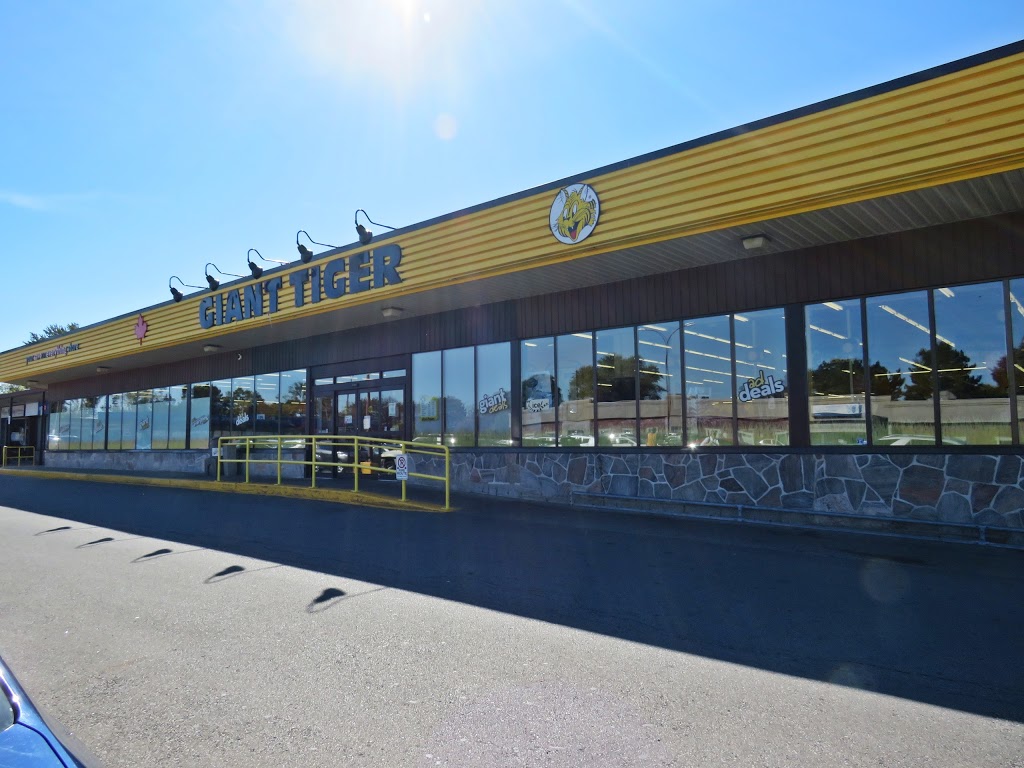 Giant Tiger | 421 Greenbrook Dr, Kitchener, ON N2M 4K1, Canada | Phone: (519) 569-8553