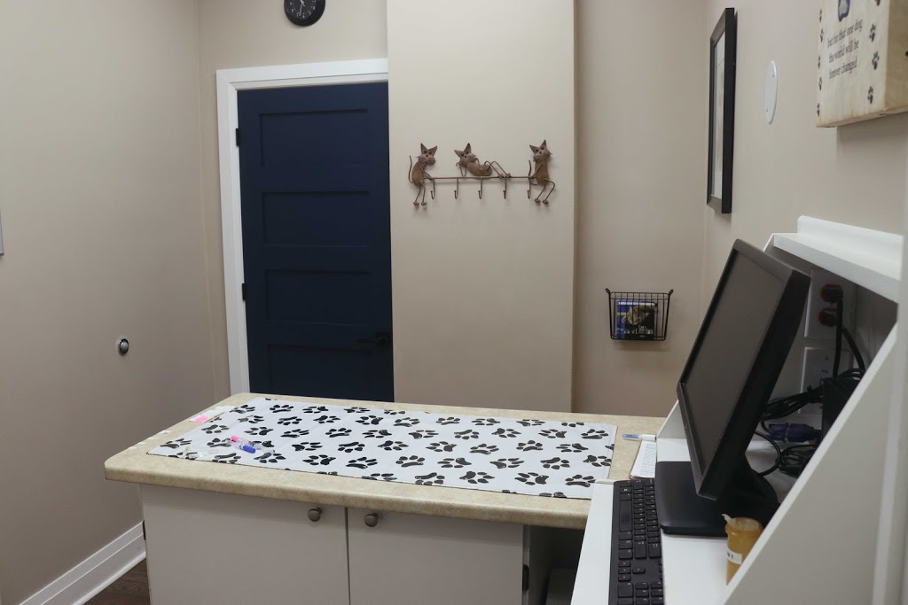 Wellington Animal Hospital Woodstock Veterinarian | 95 Wellington St S, Woodstock, ON N4S 3H9, Canada | Phone: (519) 539-9722