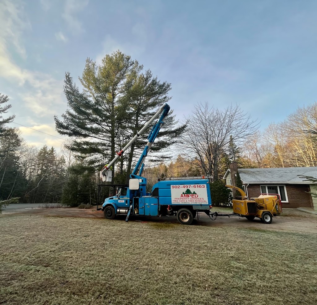 Amped Property Services | Big Lots Rd, Lunenburg, NS B0J 2C0, Canada | Phone: (902) 497-6163