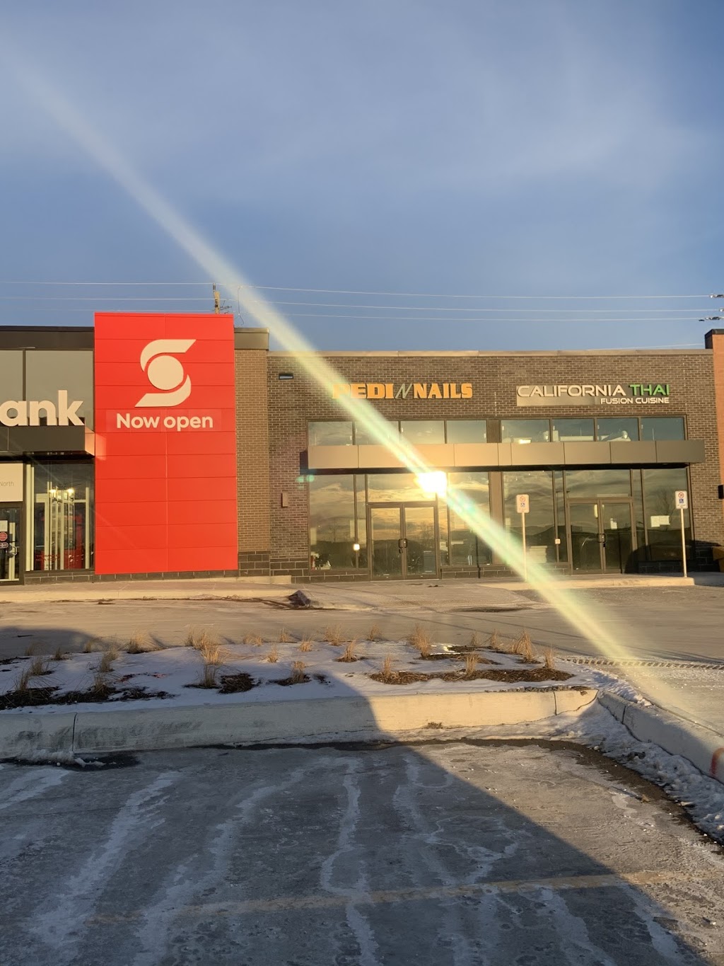 Pedi N Nails | 2630 Simcoe St N Unit 2, Oshawa, ON L1L 0R1, Canada | Phone: (905) 433-1300