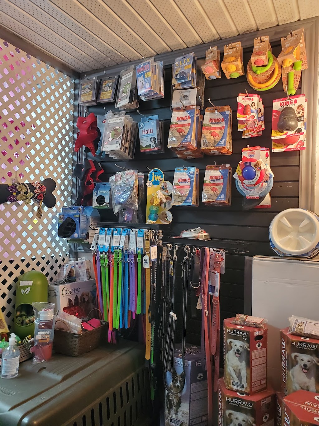 Les mignons doodle | 1011 QC-161, Chesterville, QC G0P 1J0, Canada | Phone: (819) 504-0588
