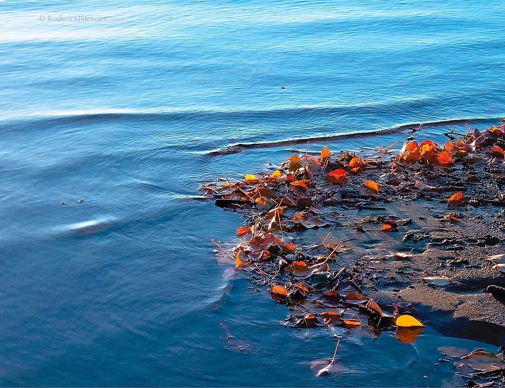PhotoHaiku Press | 777 Cook St #215, Victoria, BC V8V 3Y9, Canada | Phone: (250) 882-3339