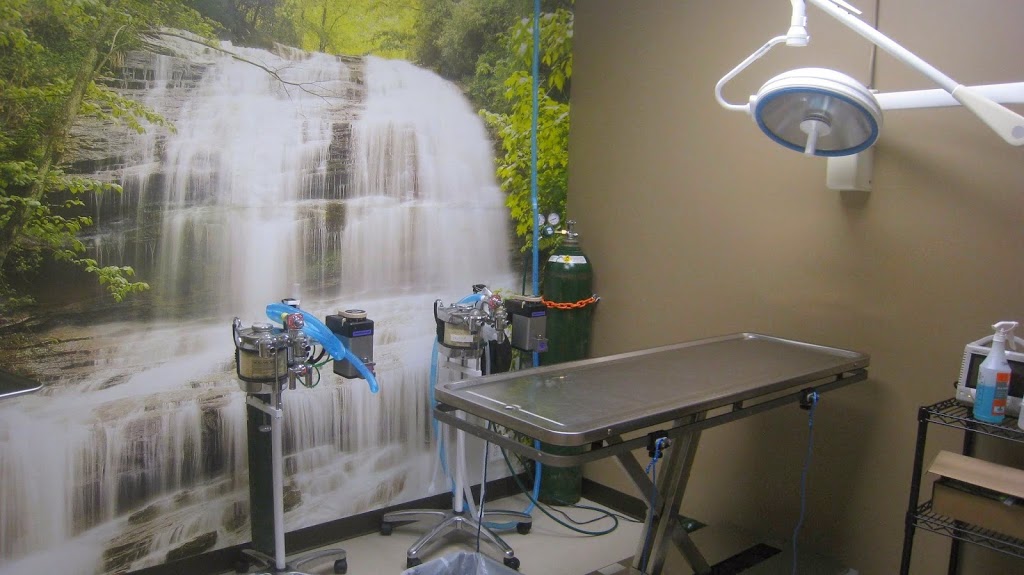 Animal Hospital of Chesterfield | 32179 23 Mile Rd, Chesterfield, MI 48047, USA | Phone: (586) 725-7900