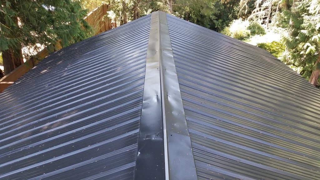 Pro Pacific Painting | 1800 Sooke Lake Rd, Shawnigan Lake, BC V0R 2W3, Canada | Phone: (250) 415-3034