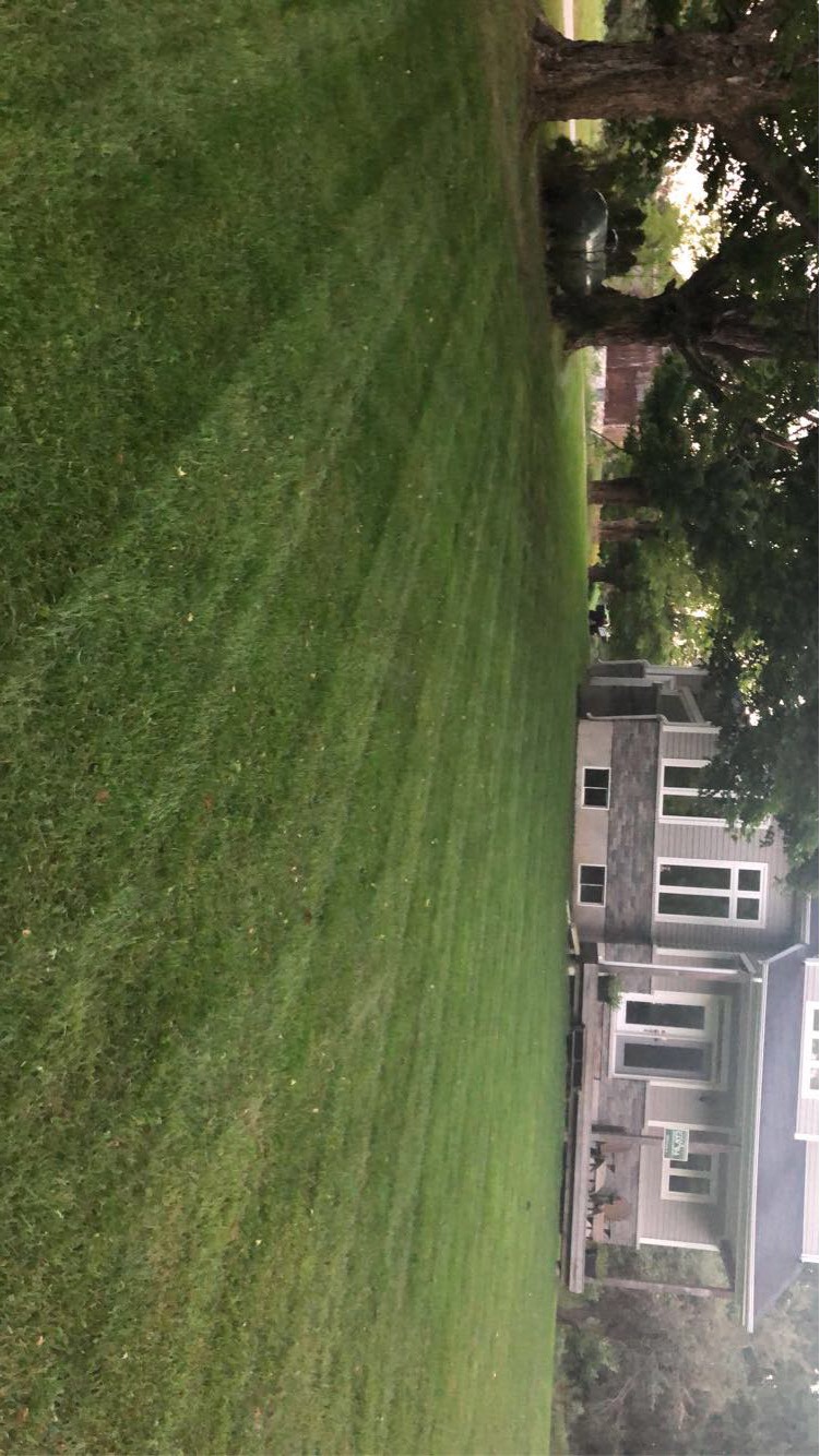 A1 Lawncare | Fairway Ct, Shanty Bay, ON L0L 2L0, Canada | Phone: (905) 353-5296