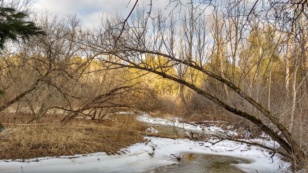 Willam Grange Greenway Trail | William Granger Greenway, Kleinburg, ON L0J 1C0, Canada