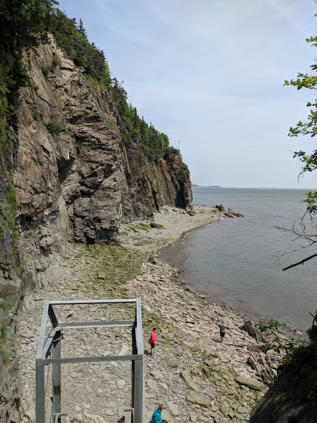 Fundys Cape Enrage | 650 Cape Enrage Rd, Waterside, NB E4H 4Z4, Canada | Phone: (506) 887-2273