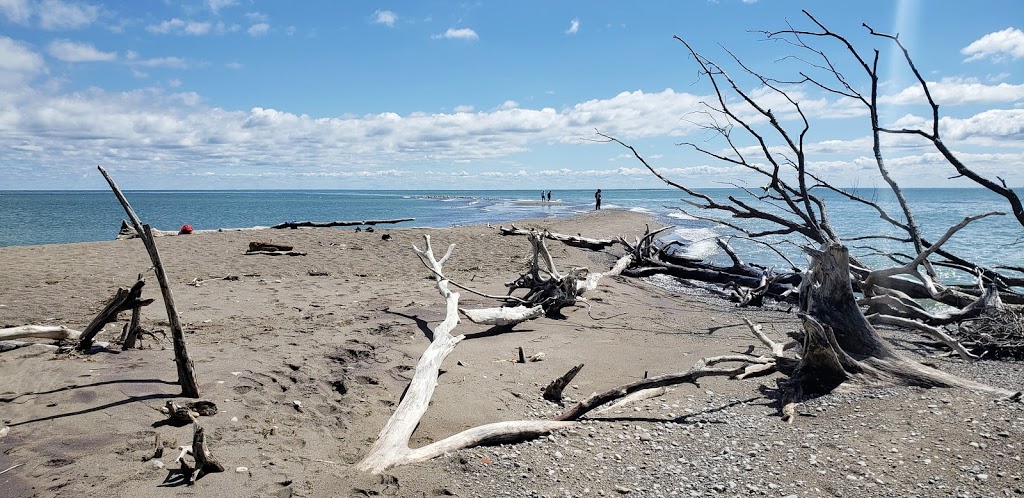 Fish Point Provincial Nature Reserve | McCormick Rd, Pelee Island, ON N0R 1M0, Canada | Phone: (519) 825-4659