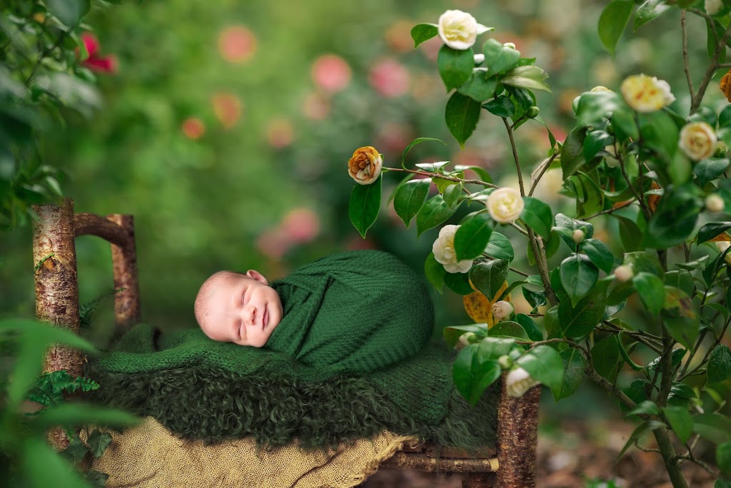 Bonnie Cameron Photography | 60 Stadaconna St, Arnprior, ON K7S 1C6, Canada | Phone: (613) 880-9245