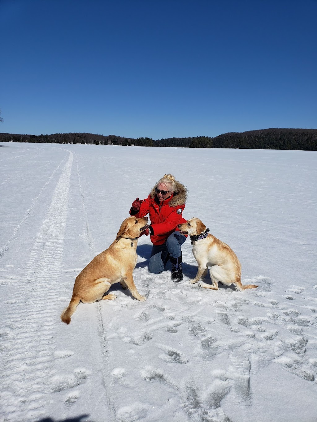 Raw For Pets | 43872 Talbot Line, St Thomas, ON N5P 3S7, Canada | Phone: (519) 207-2480