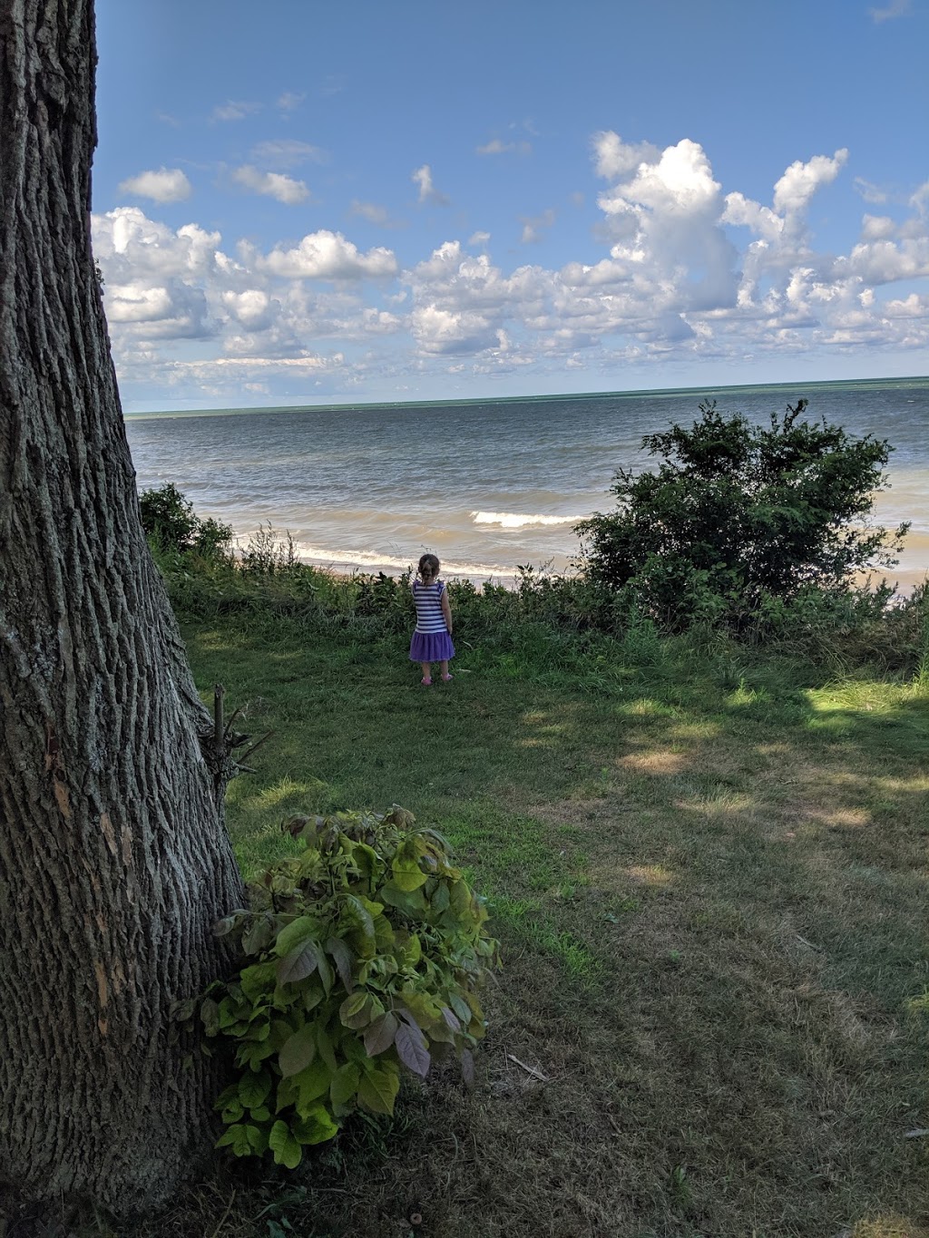 Erie County Wendt Beach Park | Lake Shore Rd, Derby, NY 14047, USA | Phone: (716) 947-5660