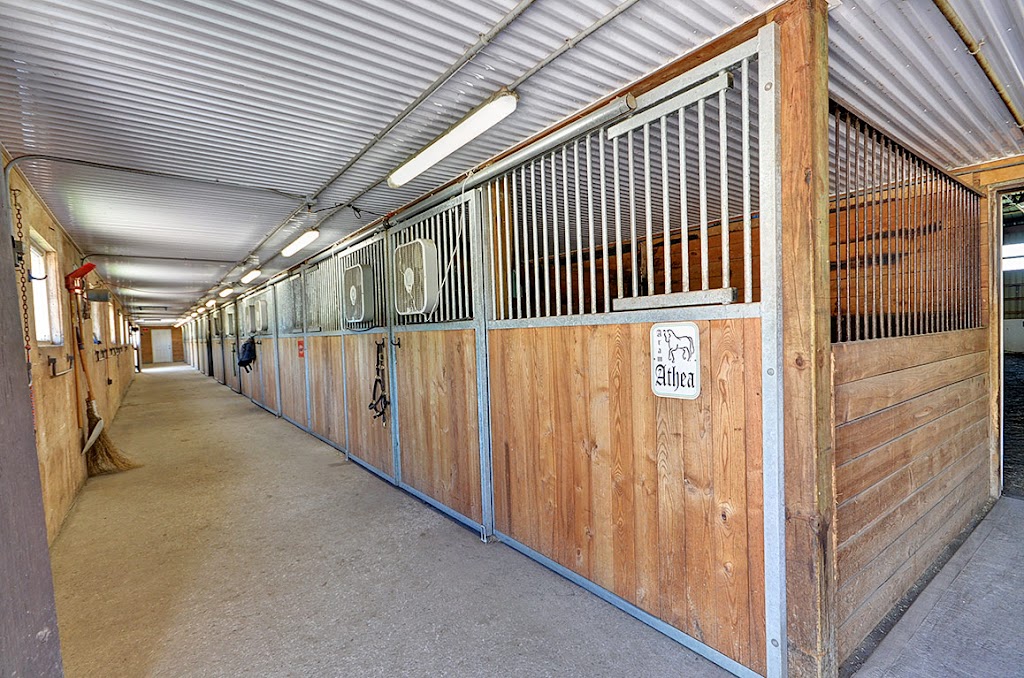 Deerfield Equestrian Farm | 4148 Larry Robinson Rd, Russell, ON K4R 0J8, Canada | Phone: (613) 821-0426