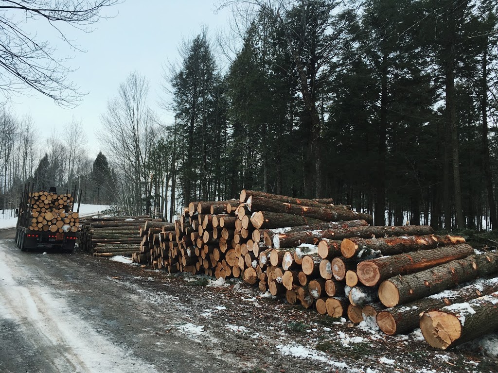 Ressources Forestières Biotiques Inc | 965 Route Principale, Sainte-Mélanie, QC J0K 3A0, Canada | Phone: (450) 960-2130
