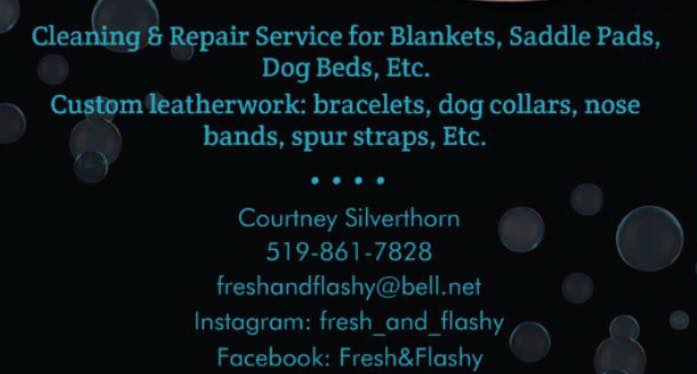 Fresh & Flashy | 133 Stage Rd, Burford, ON N0E 1A0, Canada | Phone: (519) 861-7828