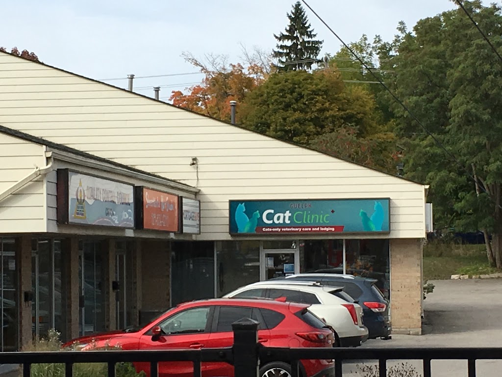 Guelph Cat Clinic | 15 Surrey St W #4, Guelph, ON N1H 3R3, Canada | Phone: (519) 821-2287
