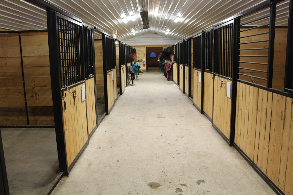 Kaspian Equestrian | Box 26 Site 7 RR3, Olds, AB T4H 1P4, Canada | Phone: (403) 556-3478