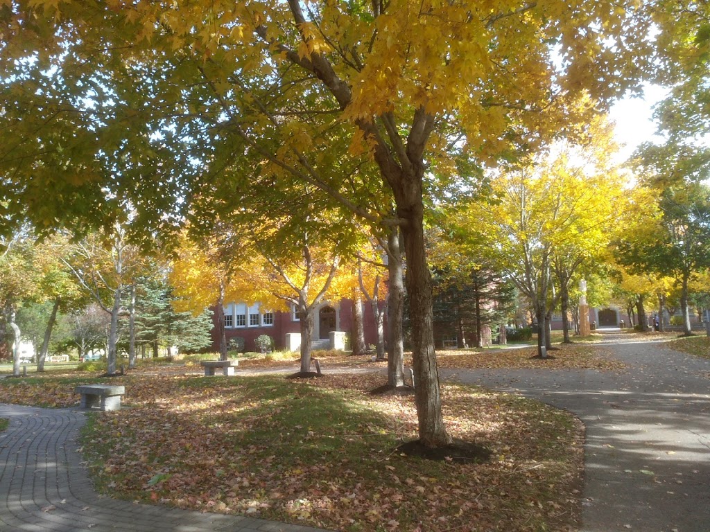Rothesay Netherwood School | 40 College Hill Rd, Rothesay, NB E2E 5H1, Canada | Phone: (506) 847-8224