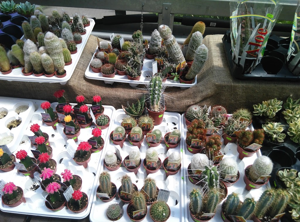 Mississauga Greenhouses Ltd. | 3225 Winston Churchill Blvd, Mississauga, ON L5L 2W1, Canada | Phone: (905) 820-9789