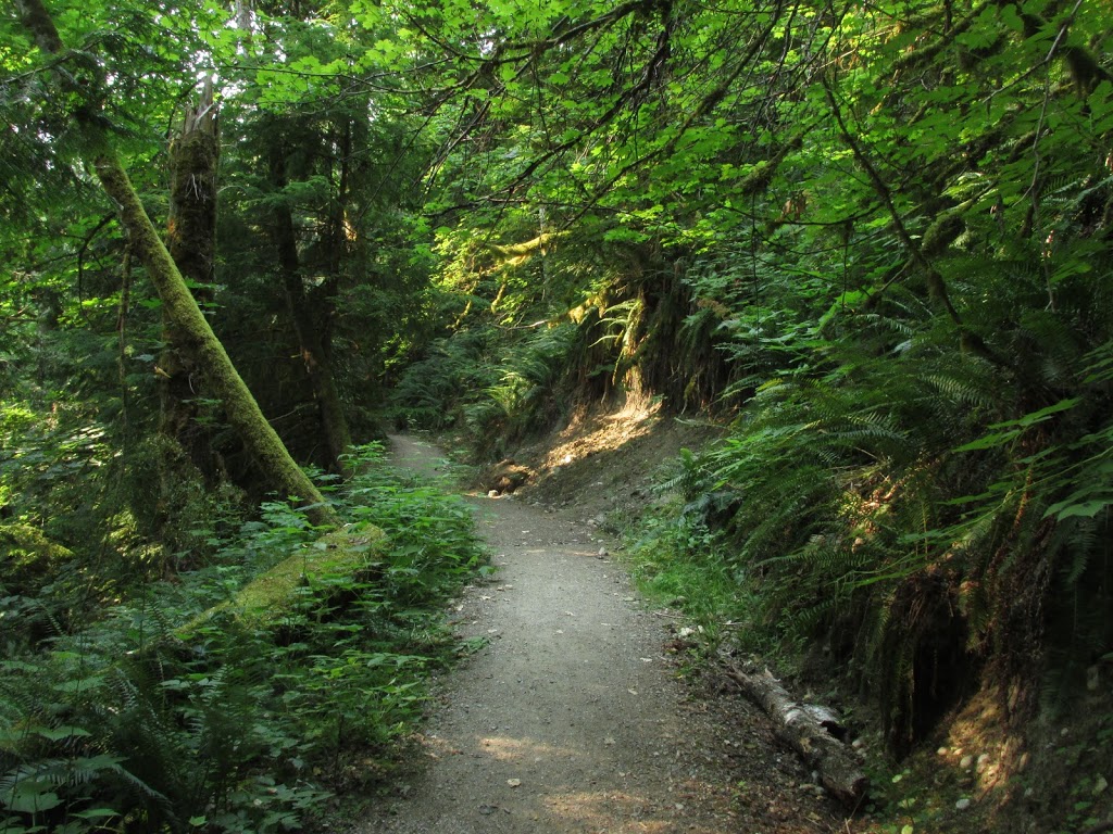 Heron Trail | Vancouver, BC V6T 2H2, Canada