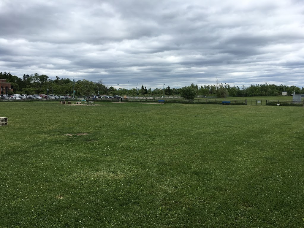 Colonel Samuel Smith Dog Park | dr 4b6, 65 Colonel Samuel Smith Park Dr, Etobicoke, ON M8V 4B6, Canada