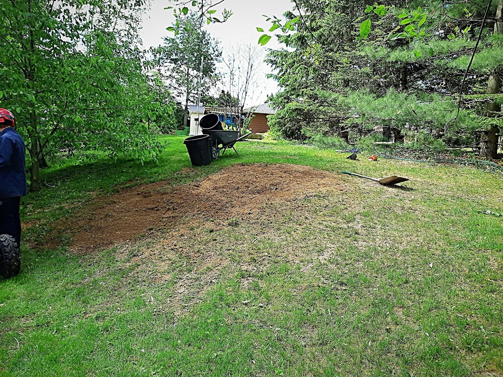 Samuel Girouard Arboriculteur-élagueur | 16325 Av. Roy, Saint-Hyacinthe, QC J2T 4G6, Canada | Phone: (450) 501-8205