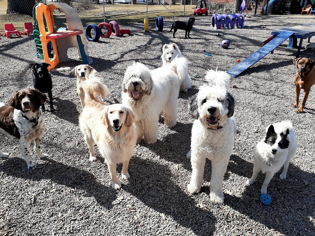 Furry Friends Inc. Doggie Daycare & Spaw | 955 Century Dr, Burlington, ON L7L 5J8, Canada | Phone: (289) 828-1367
