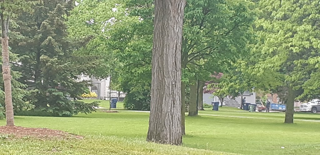 Prince Charles Park | 36 Prince Charles Dr, Toronto, ON M6A, Prince Charles Park, 36 Prince Charles Dr, Toronto, ON M6A, Canada | Phone: (416) 338-4386