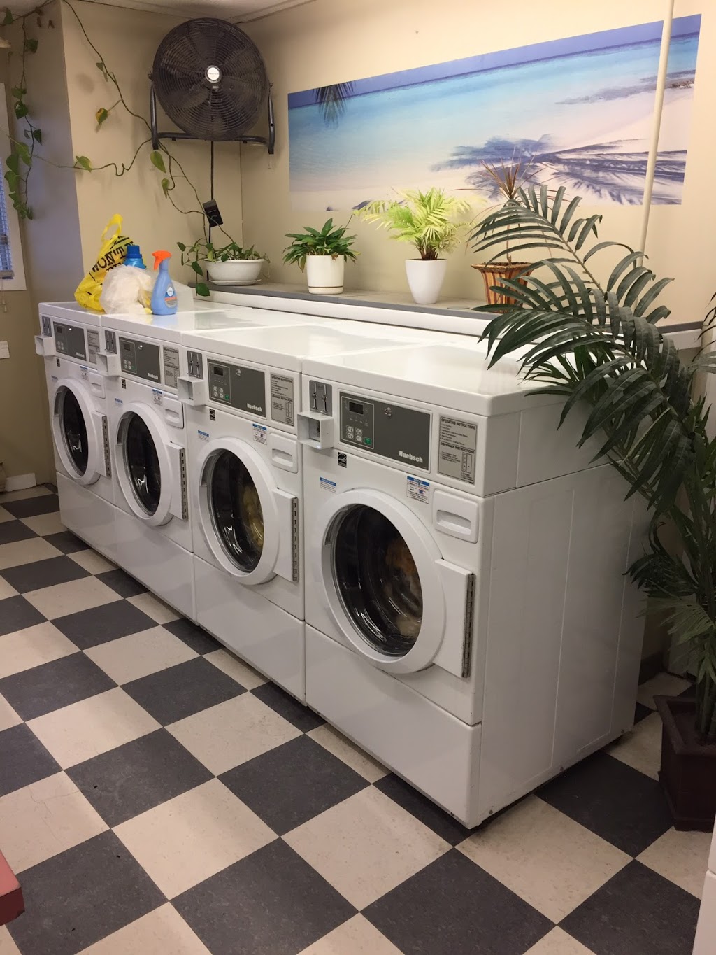 Gananoque Coin Laundry | 88 Charles St N, Gananoque, ON K7G 1T7, Canada | Phone: (613) 382-5720