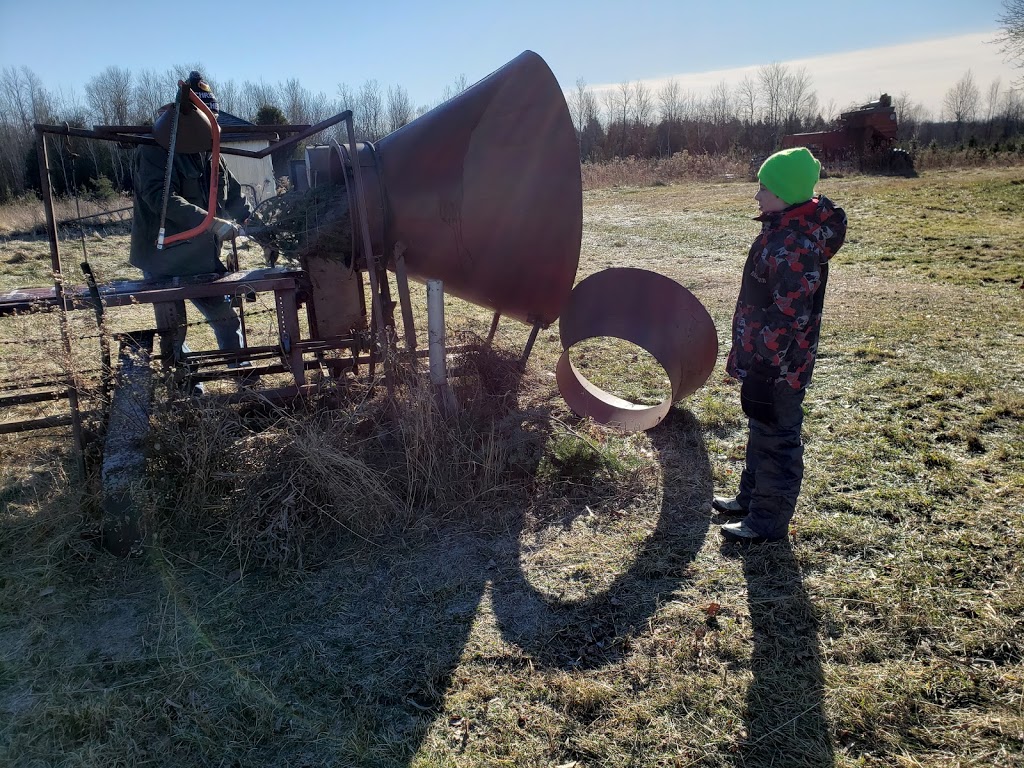 R & R Tree Farm | 7113 Brown Rd, Brockville, ON K6V 5T2, Canada | Phone: (613) 802-7625