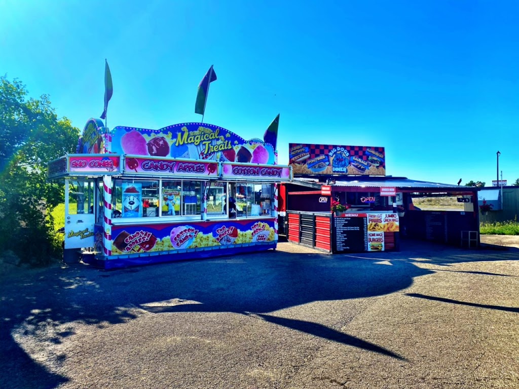 Big Dogs Diner | 5 Woodslee Ave, Paris, ON N3L 3N6, Canada | Phone: (647) 969-1057