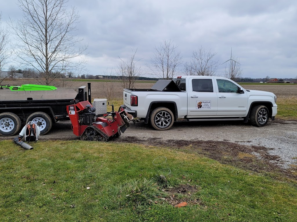 Woodchuck Stump Grinding | 111 King St E, Hagersville, ON N0A 1H0, Canada | Phone: (905) 531-0586