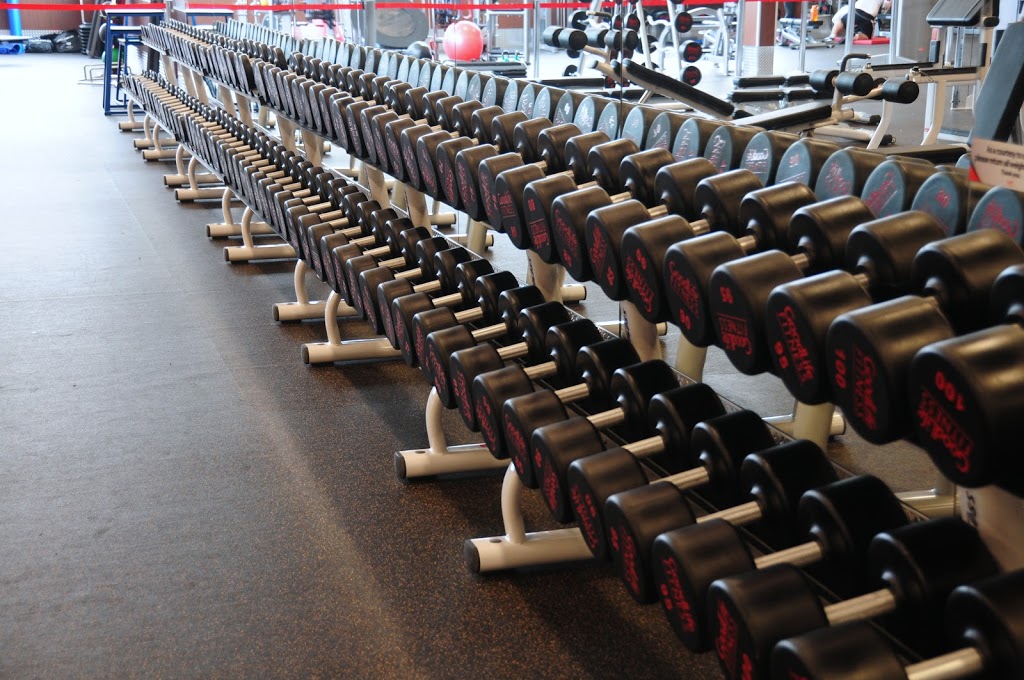 GoodLife Fitness Guelph Eramosa Road | 297 Eramosa Rd, Guelph, ON N1E 2M7, Canada | Phone: (519) 767-2563