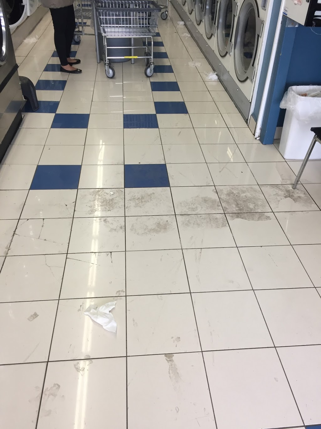 Elite Coin Laundry | 1028 Burnhamthorpe Rd E, Mississauga, ON L4Y 2X6, Canada | Phone: (647) 444-3091