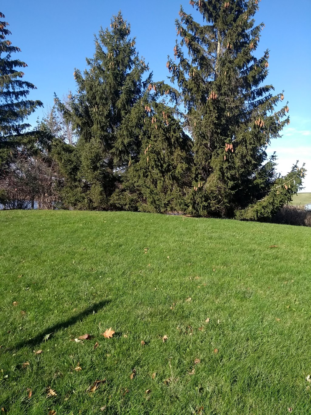 Oak Park | 2303 Central Park Dr, Oakville, ON L6H 0E5, Canada