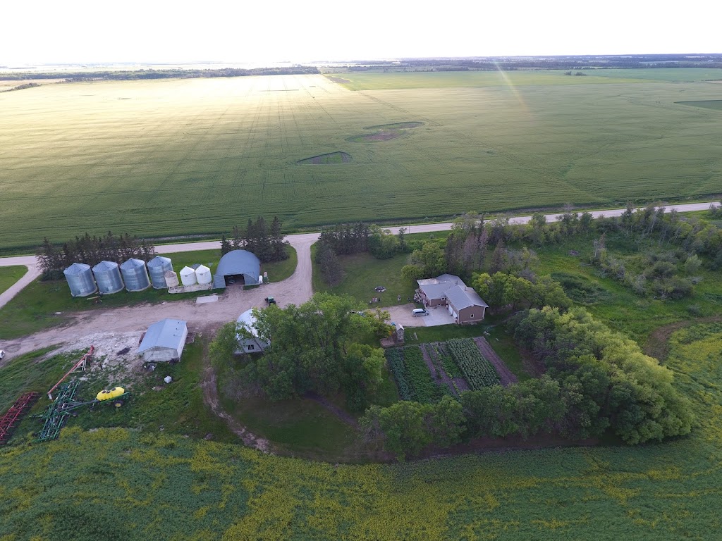 L Plett Farms inc | point of interest | Rd 2 E Morweena, Arborg, MB R0C 0A0, Canada | 2044420610 OR +1 204-442-0610